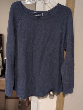 Karen Scott Navy Blue Long-Sleeve Pullover Sweater